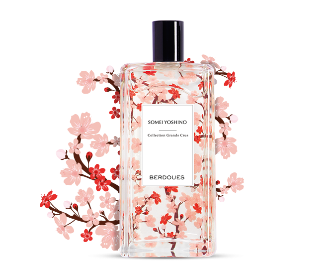 Somei Yoshino Eau de Parfum – A Delicate & Harmonious Floral Perfume